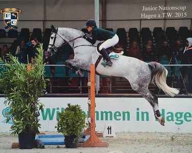 Here's an alt tag for the image: `Rider and grey horse jump hurdle`