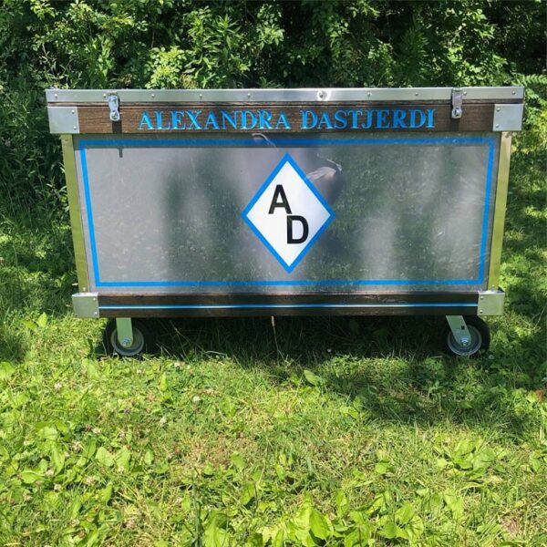 Alexandra Dastjerdi's custom horse cart