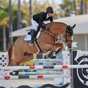 Here's an alt tag for the image: `Rider and horse soaring over jump.`