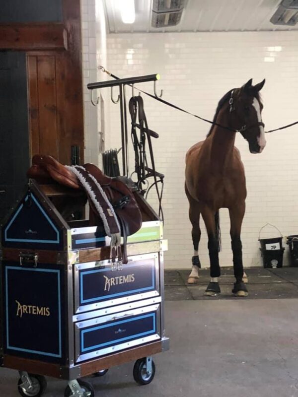Brown horse and Artemis tack trunk.