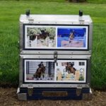 Here's an alt tag for the image: > Show jumping photos in metal trunk.