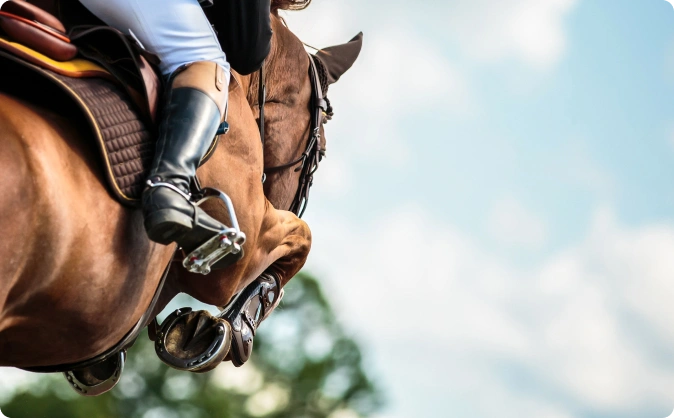image 1 Rider and horse in mid-jump.