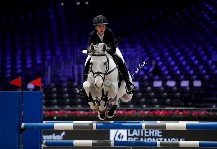 Girl jumping horse over a hurdle.