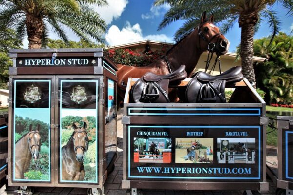 Hyperion Stud horse trailer with saddles.