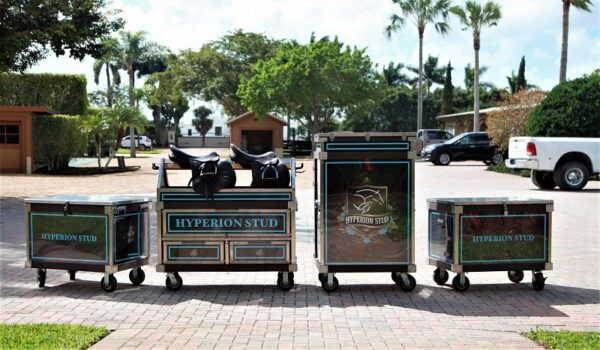Hyperion Stud equestrian cart set.