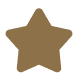 mingcute_star-fill Here's an alt tag for the image: `Brown star rating icon`